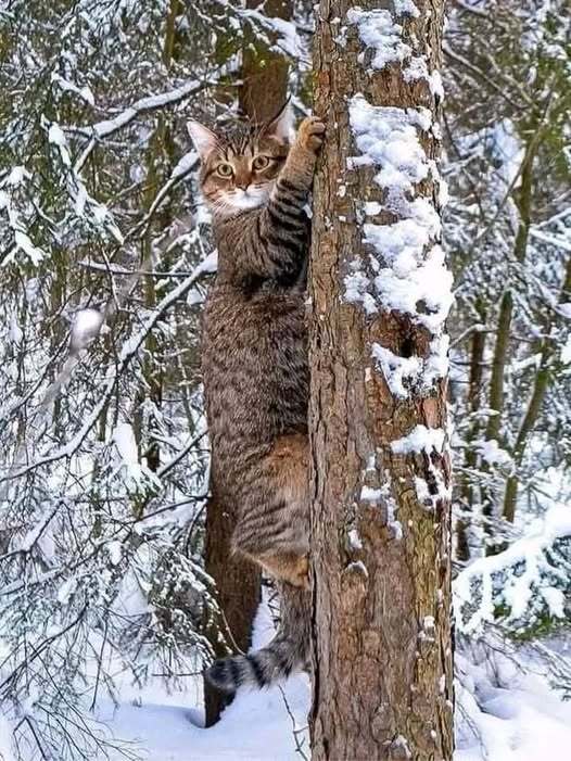 ��������������