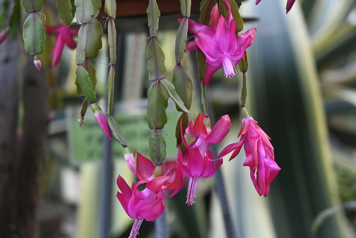 ����������� �������. ��������� ������������� ���� ��� ���.