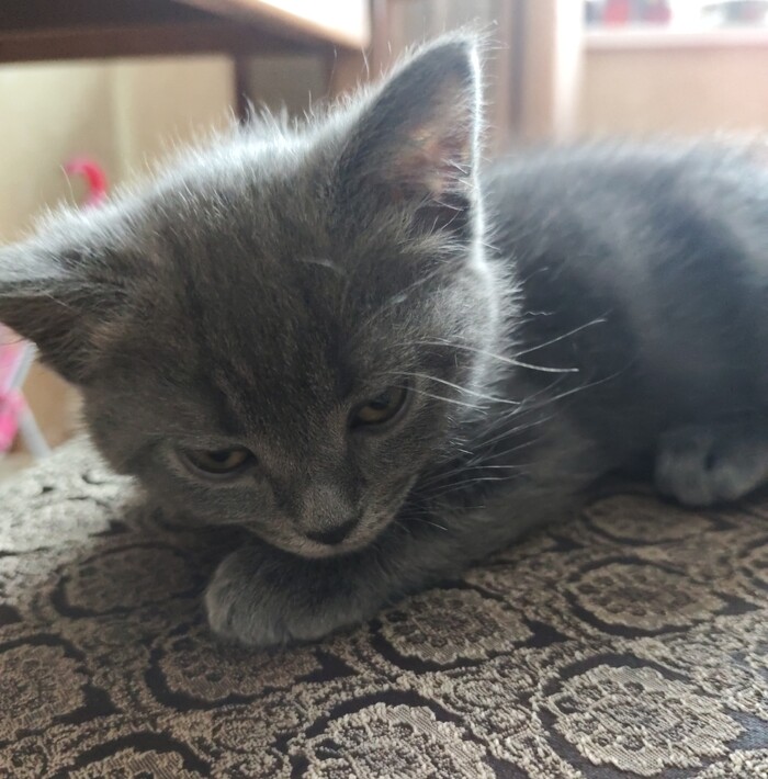 �������