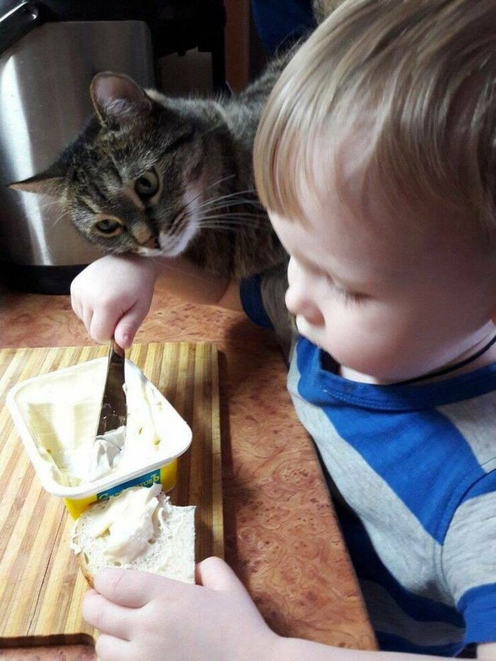 Неправильно ты Дядя Фёдор сыр на хлеб мажешь