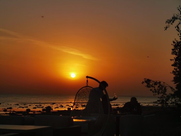 ����� ������ �������