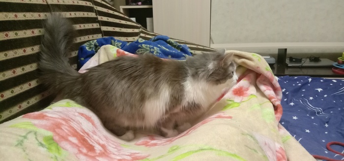 Вот прям здесь он готовится причинять добро.