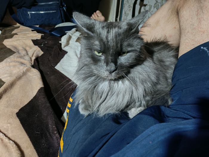 Наш Максимка семилетка