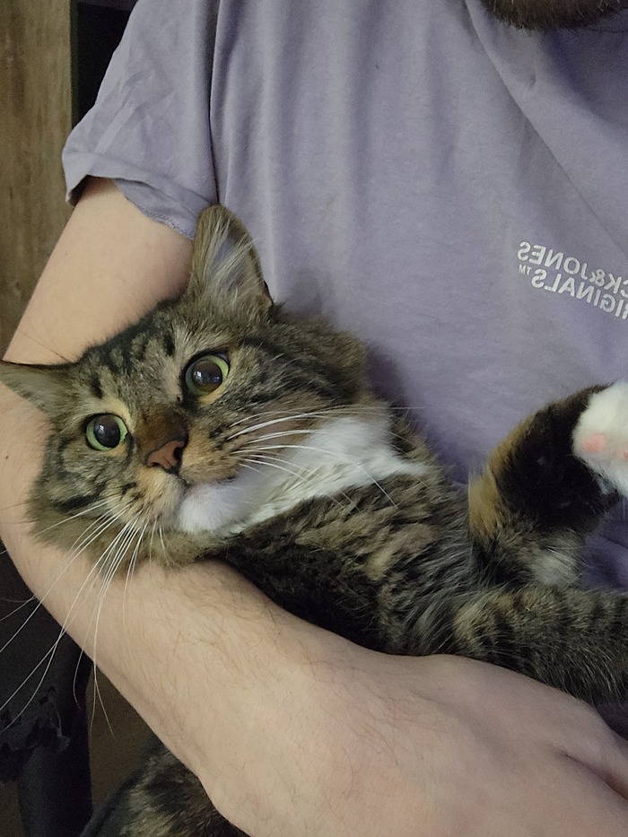 Ежедневный Рислинг #160