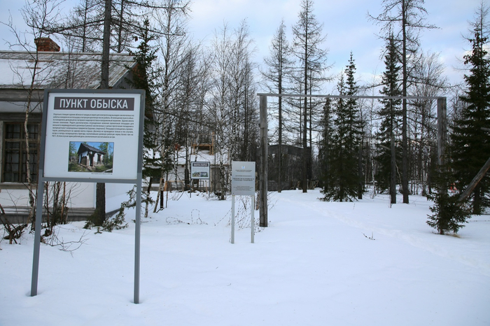 ������ 2025 ����