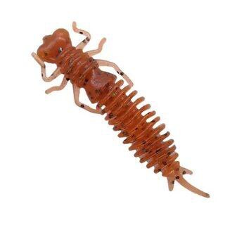 ��� ����� Larva?