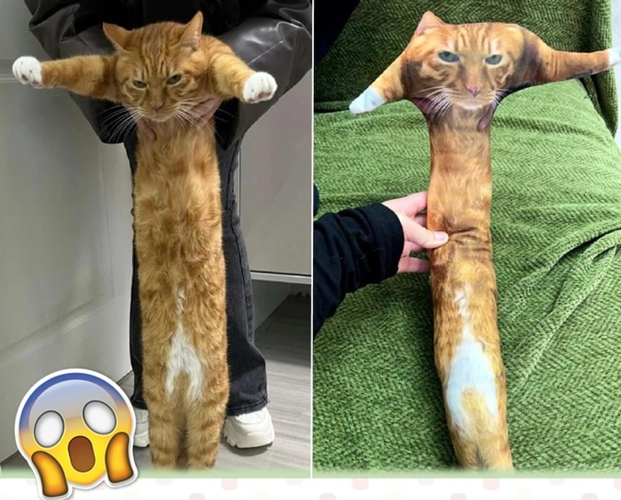 Заказал подушку в форме своего кота