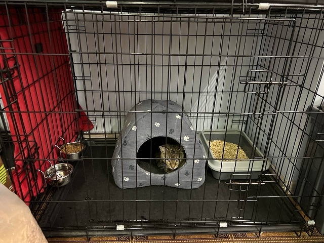 ����, � ������� ������ ������. ������ ��� � ������.