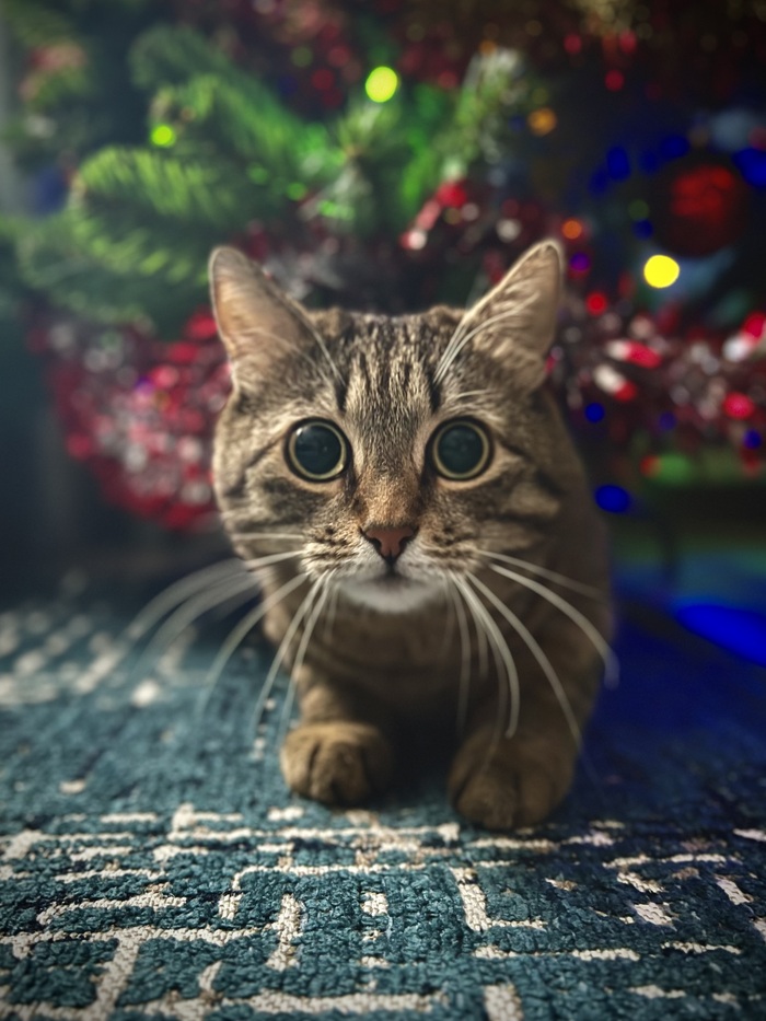 По ту сторону монитора.