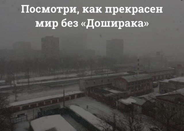 �������� �����������