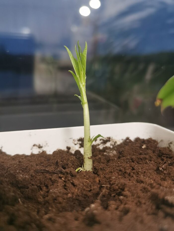 ������ ������. 23 ������