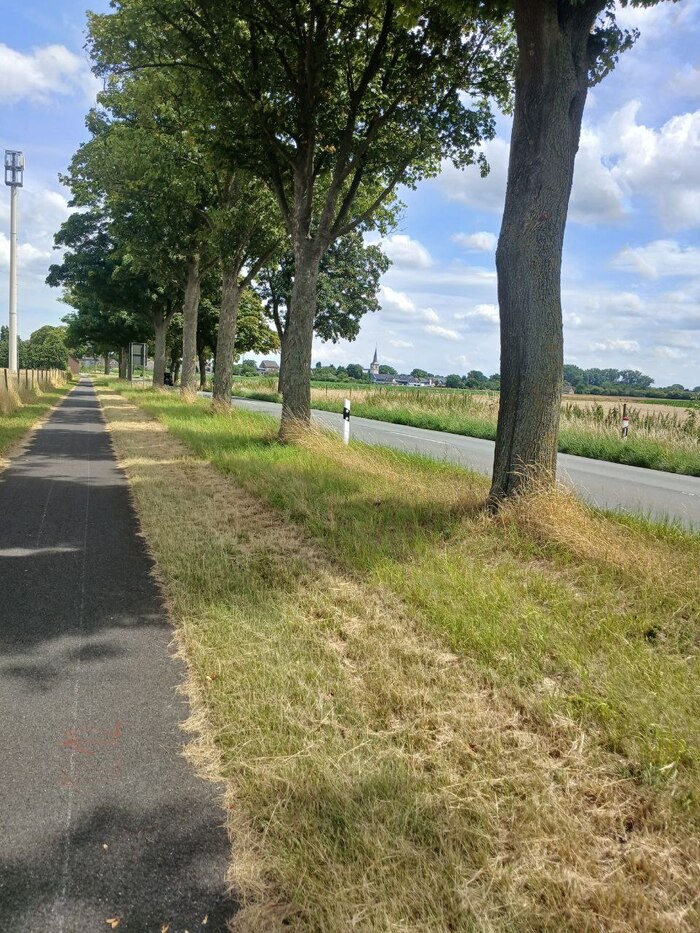 ����� ��������� �� ����������� - �������� ���������� ��� ������ � ��������. ���������, ��������� ������� � ������� ���� - ����� ������ ���������� ��� ��������� ������ ��� ������ ������-���������.