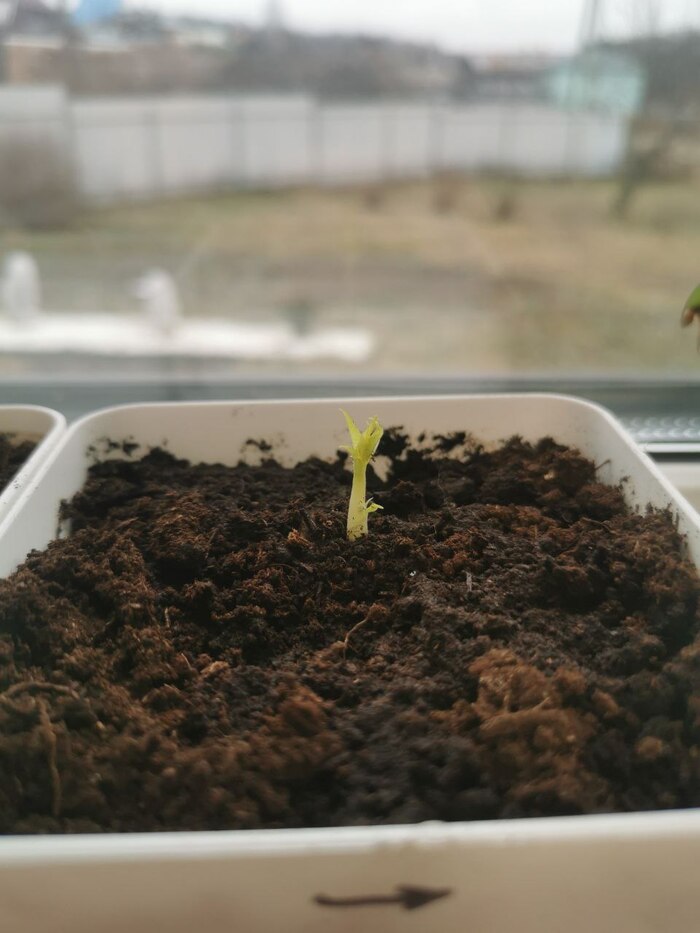 22 ������