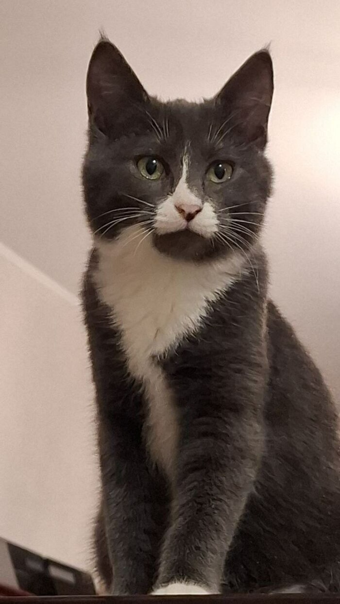 ������� ��������