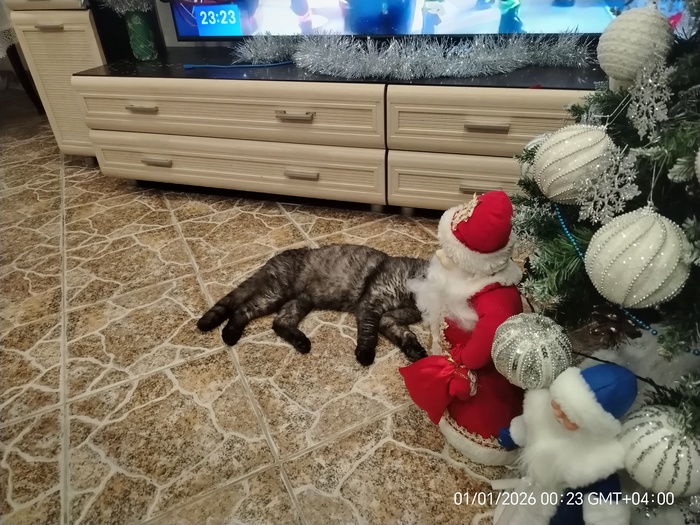 � �������� ����������� ����