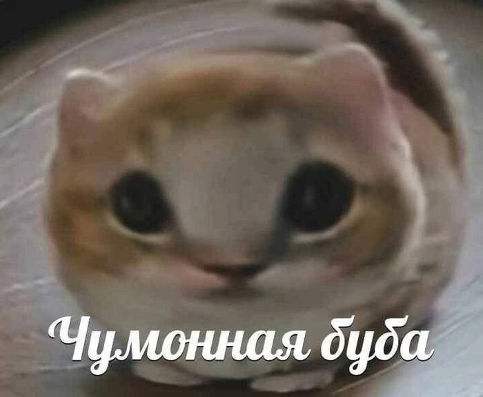 ����� �� ���� ���� �����������!�