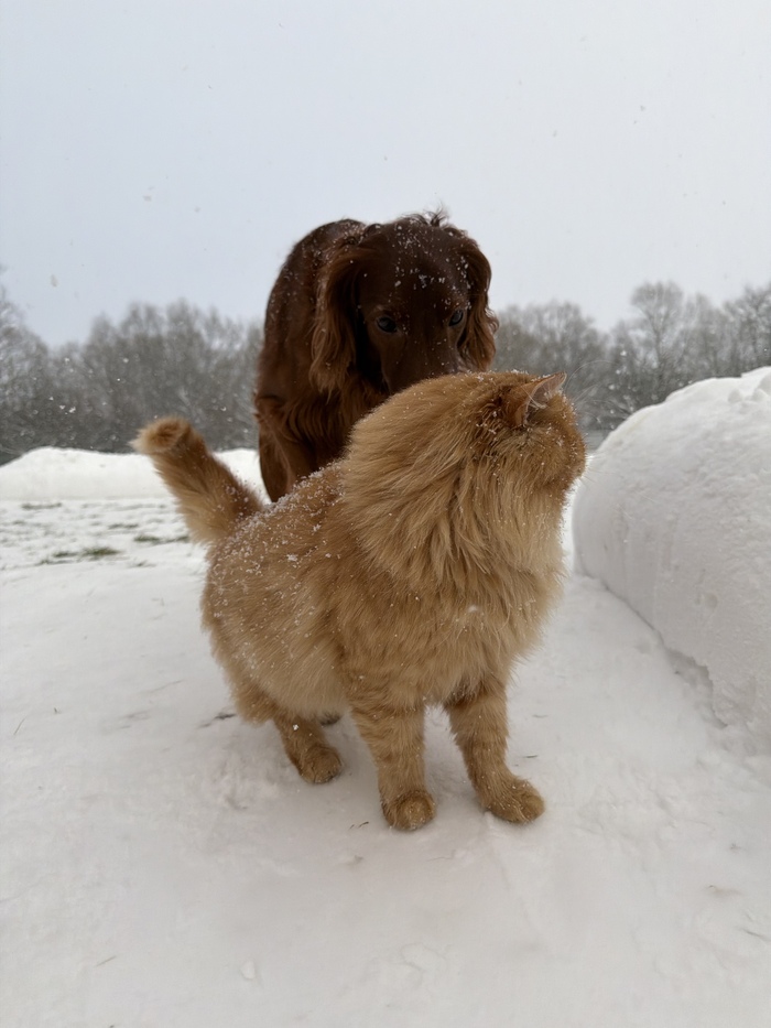 ���� �� ����� ������ �� ��������� �����