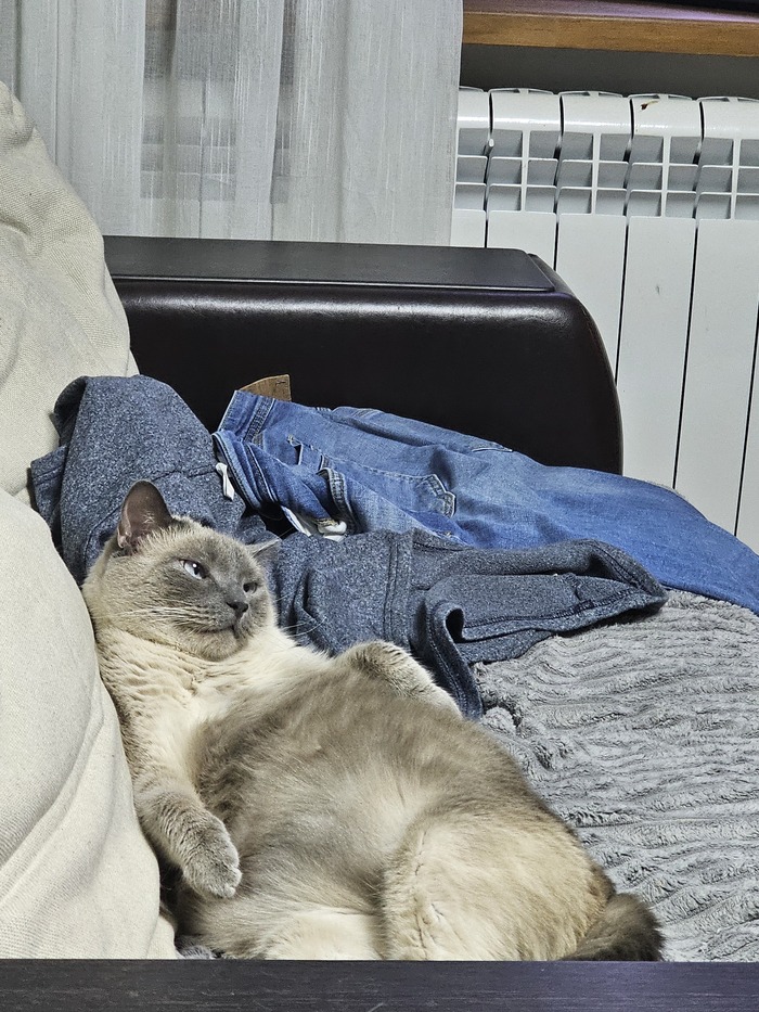 � ��� �� ��������� ���������� ���������?