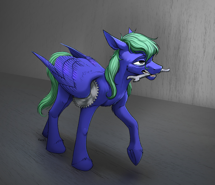 ��������