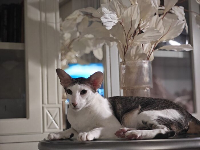 -�����������