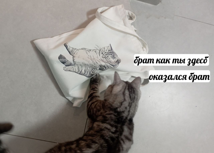 ����� ��������