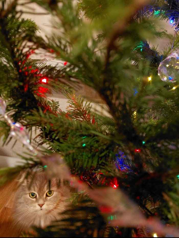 ���������� ������