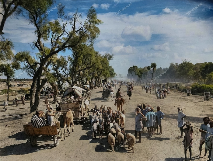 ��������: �������� ����-����