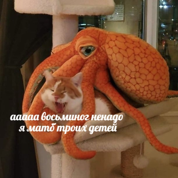 ������������� ��������� � ������ �����������!