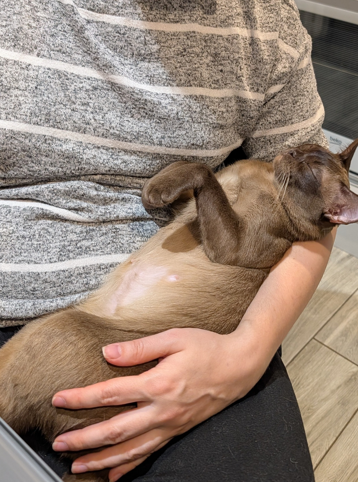 ����� ������.