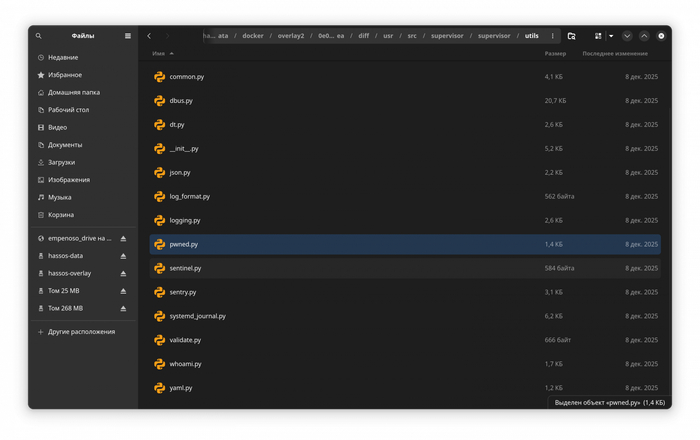 ���� /usr/src/supervisor/supervisor/utils/<!--noindex--><a href="https://pikabu.ru/story/arkhitekturnaya_oshibka_ili_zashchita_ot_vzloma_razbiraem_zavisimost_home_assistant_ot_onlaynservisov_13570135?u=http%3A%2F%2Fpwned.py&t=pwned.py&h=1a22d5b8f515012e396a2adbe93c582cbdbbb670" title="http://pwned.py" target="_blank" rel="nofollow noopener">pwned.py</a><!--/noindex-->