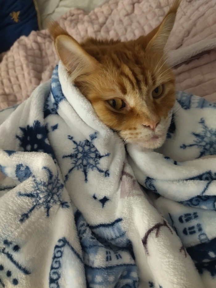 ����� ������