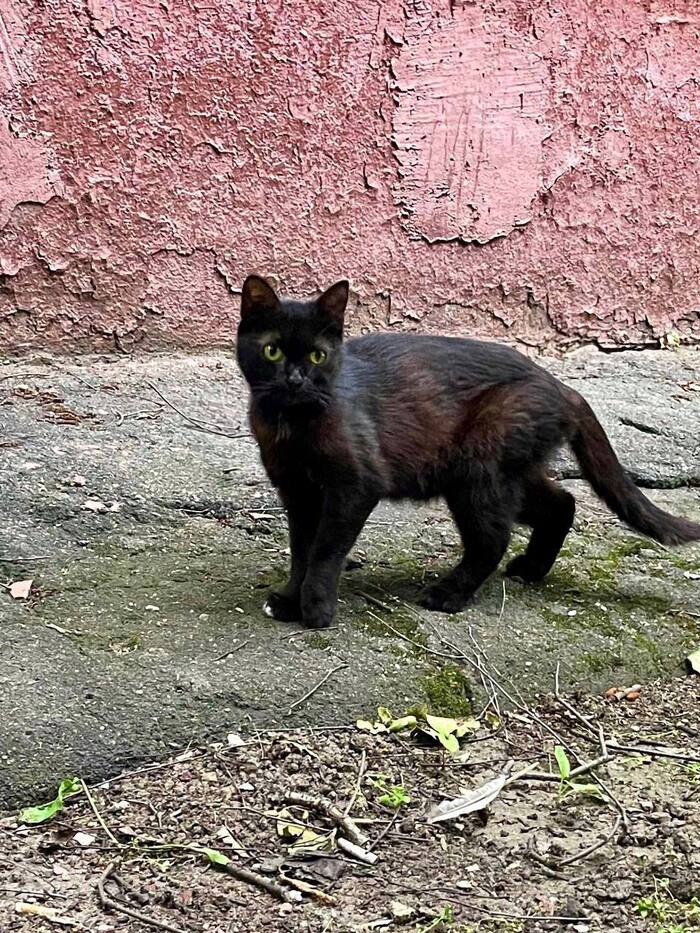 ������� ���� ������� � ����!