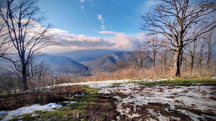 ������ ����, ����: ���� ������