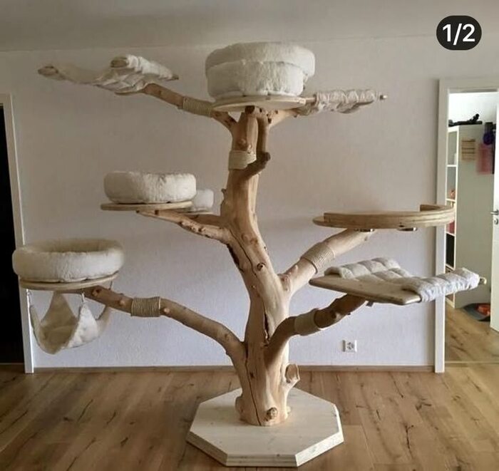 Кошачье дерево. Больше напоминает природный объект, чем простой игровой комплекс.