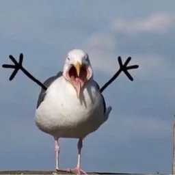 Sezonbltch