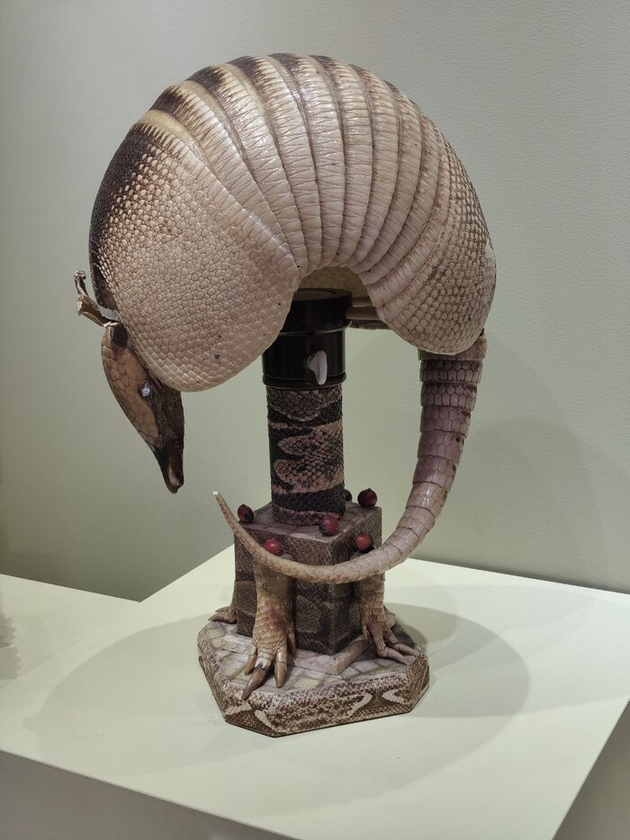 Броненосец в потёмках