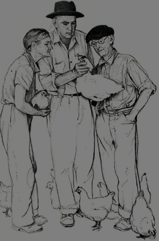 ����� ��������� �����, ����������� �������� ��� ��������� ������ �����.