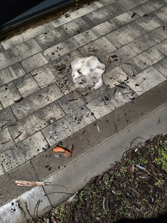 В полицию звонить или уже поздно?