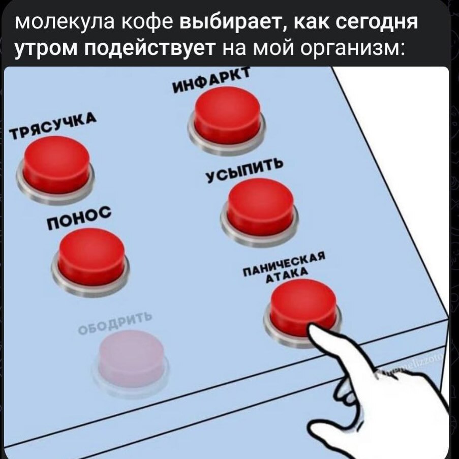 xefux2ru_lg.jpg