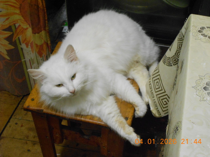 �������� �� ���������.