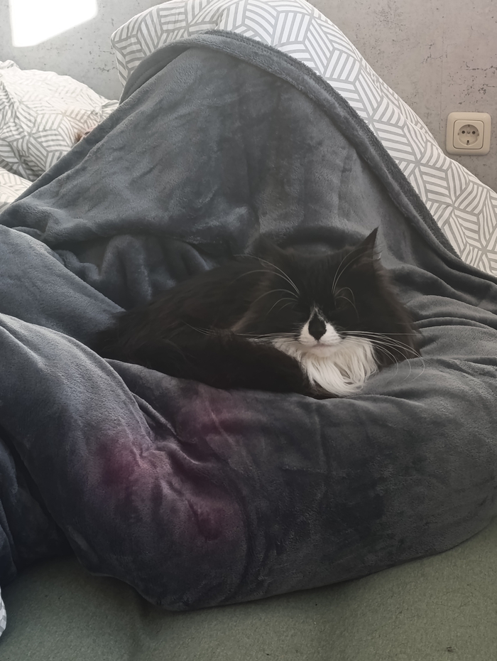 � ������ �������� �� ������, ���