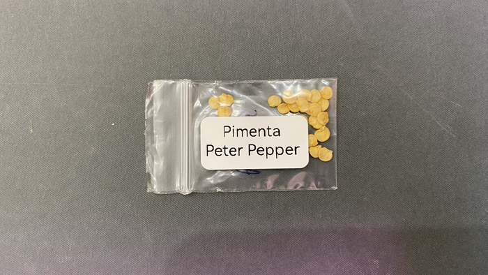 ��� �� ����� - ��������� ��������