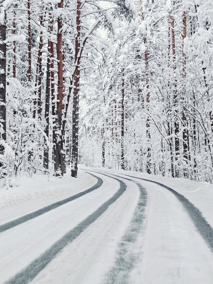 Дорога сквозь зимний лес
