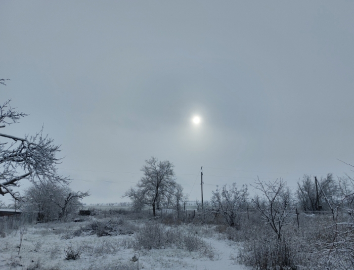 ������ ������