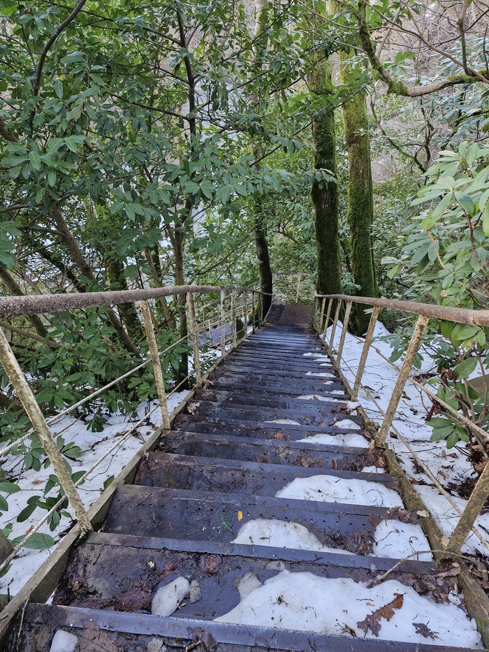 � ����� ������ ��������, ������ ���������.