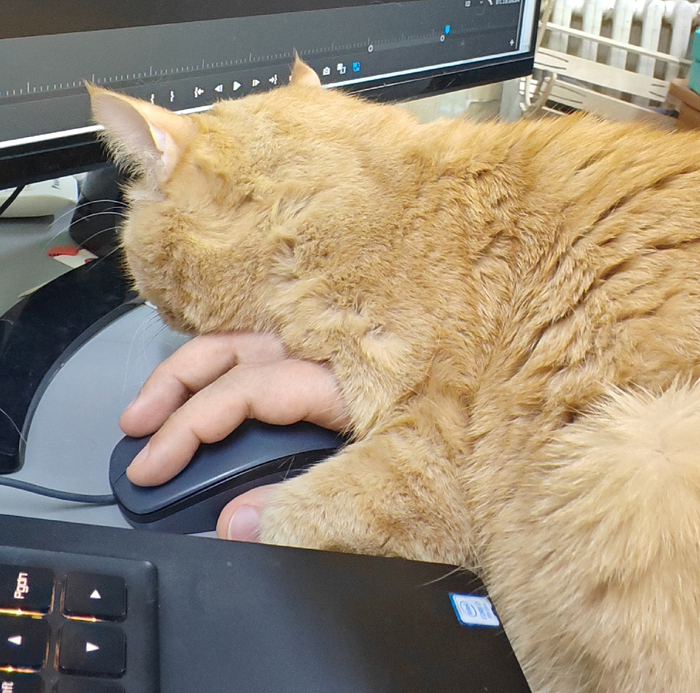 �������� ������� �� ��������, ������ ��� �� ��������� ����������� � �������! 