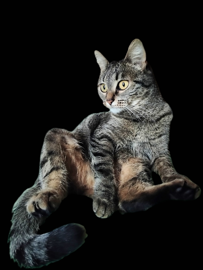 ��� � ����� ��� ��� ����� ����� ������