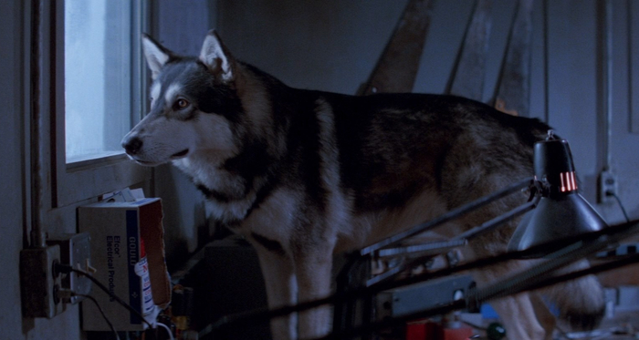 ������ �������� �� �����))