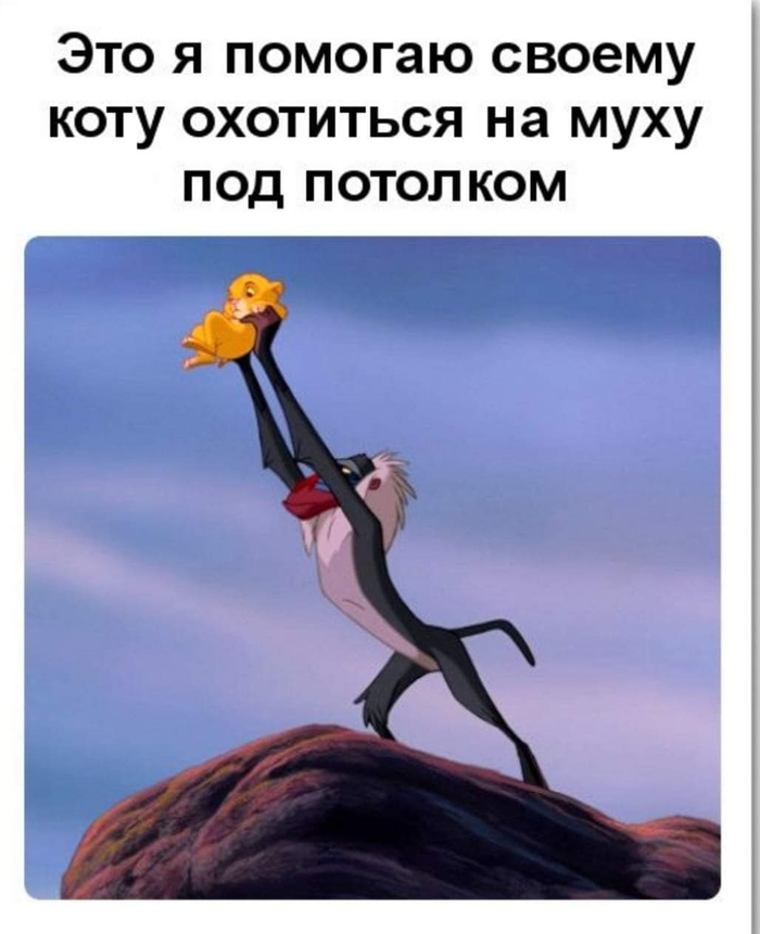 ����� �������� � �����