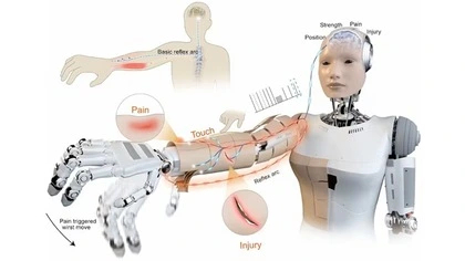 � ����� ������� ������������ ���� ��� �������, ����������� ���������� ������� ����